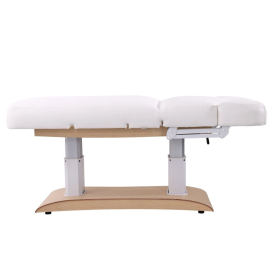 TROCH+ 4-Motor Spa Bed with Heating & Antigravity Function(3)