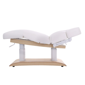 TROCH+ 4-Motor Spa Bed with Heating & Antigravity Function(5)