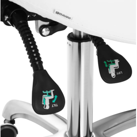 Adjustable Saddle Stool with Backrest 1004 - 