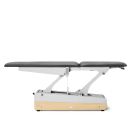 Electric Examination Bed NAGGURA SWOP 2L STARTER | Anthracite