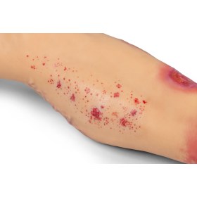 Foot Simulation Lena Leg with Stand