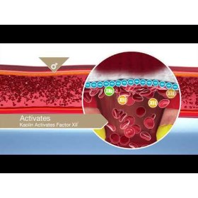 QUIKCLOT hemostatic dressing 10x10cm 4ply REF301