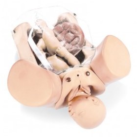 Εξομοιωτής γέννας R10180