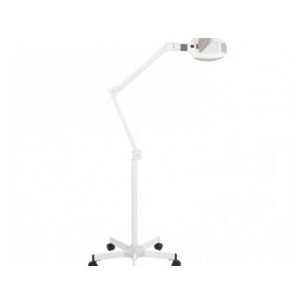 Μεγεθυντικοί φακοί