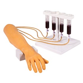 Πρόπλασμα χεριού για φλεβοκέντηση, αιμοληψία και μετάγγιση αίματος 7010