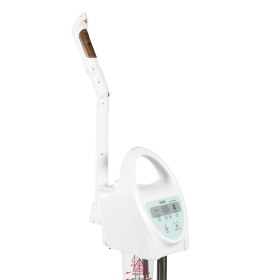 Digital Facial Steamer Vibbel Izar H1106 - 