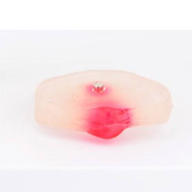 Lumbar Spine Model with Herniated Disc 139061 - 