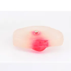 Πρόπλασμα οσφυϊκής μοίρας σπονδυλικής στήλης 139061 - 