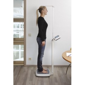 Kern MPE 200K-1HEM Class III Digital Column Scale with Height Rod – 250kg Capacity / 100g Readability - 