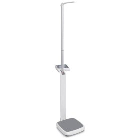 Kern MPE 200K-1HEM Class III Digital Column Scale with Height Rod – 250kg Capacity / 100g Readability