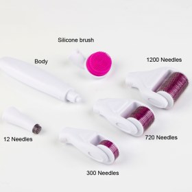 Σετ 6 σε 1 Derma Roller με βελόνες τιτανίου - Σετ 6 σε 1 Derma Roller με βελόνες τιτανίου 0.5-2mm 