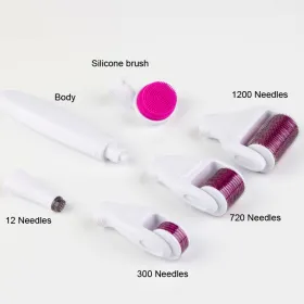 6 in 1 Derma Roller Titanium Kit Micro Needle - 6 in 1 Derma Roller Titanium Kit Micro Needle 0.5-2mm 