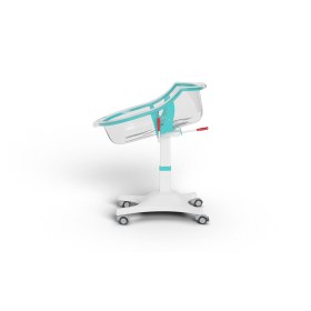 Newborn Crib with Trendelenburg dpl 7010   - 