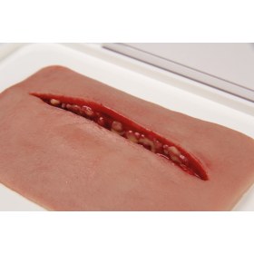 Wound moulage CUT 