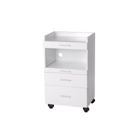 AUX 1035A Equipment Rolling Table