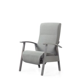 Καρέκλα μεταφοράς ασθενών ECHO FOREST