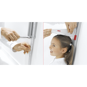 Seca 216 measuring rod