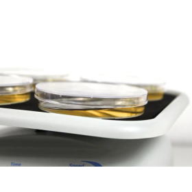 Συσκευή ανάδευσης ψηφιακή Μini-Rocker Shaker MR-1 Biosan - 