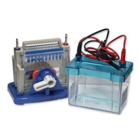 Vertical electrophoresis cell, 82x82 mm