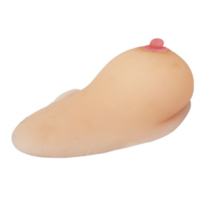 Female Breast Simulation Model for Education - 