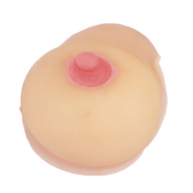 Female Breast Simulation Model for Education - 