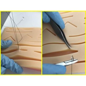 Suture Training Skin DOLPHIN - 