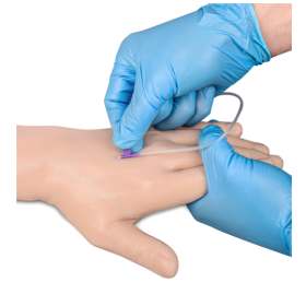 Multi Venous IV Practice Adult Arm and Hand Kit - 