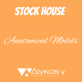 Προπλάσματα ανατομίας