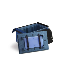 Blood-in-Transit Medical Bag EMO 06PP 2lit  - 