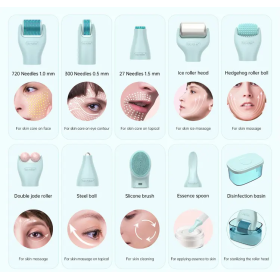 Bio roller G10 facial massage roller 10 in 1 micro needle derma roller