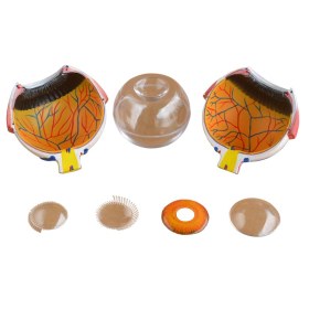 Πρόπλασμα ματιού XC-316A - 