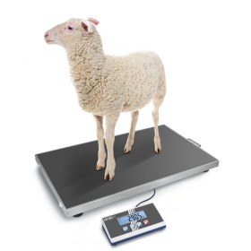 Κτηνιατρικός ζυγός Kern EOS 150K50XL