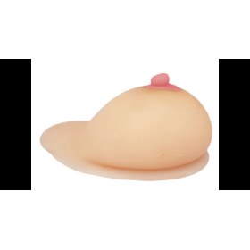 Female Breast Simulation Model for Education