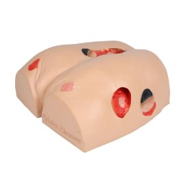 "Decubitus Dan" care and dressing simulator