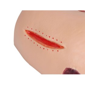 "Decubitus Dan" care and dressing simulator