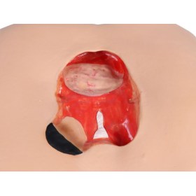 "Decubitus Dan" care and dressing simulator