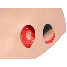 "Decubitus Dan" care and dressing simulator