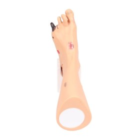 Foot dummy Wanda WOUND FOOT 7630
