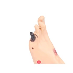 Foot dummy Wanda WOUND FOOT 7630