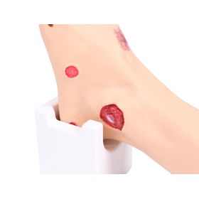 Foot dummy Wanda WOUND FOOT 7630
