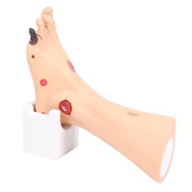 Foot dummy Wanda WOUND FOOT 7630