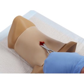 Cricothyrotomy Practice Manikin CRICO CHRIS 7660