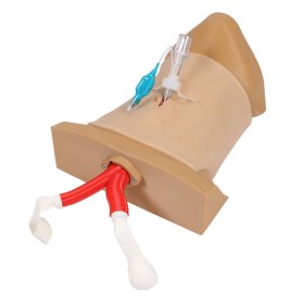 Cricothyrotomy Practice Manikin CRICO CHRIS 7660