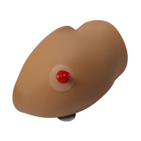 Πρόπλασμα ενδοοστικής έγχυσης χεριού AMY 7780