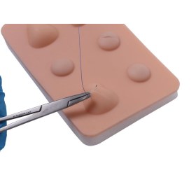 Training Pad Cyst and abscess 8030