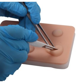 Training Pad Cyst and abscess 8030