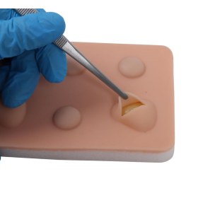 Training Pad Cyst and abscess 8030