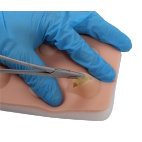 Training Pad Cyst and abscess 8030