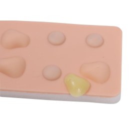 Training Pad Cyst and abscess 8030