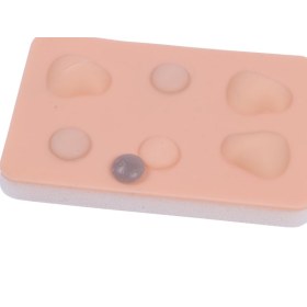 Training Pad Cyst and abscess 8030